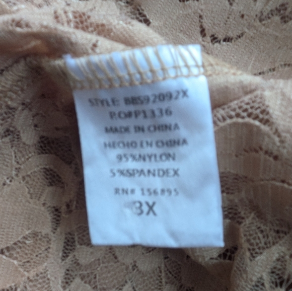 Chic See Thru Lace V-Neck Bodysuit Blouse - Tan - Picture 6 of 6